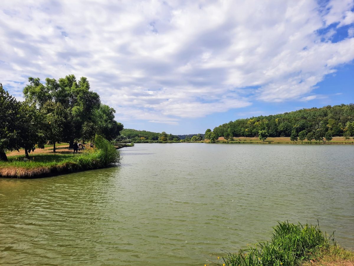 tófürdők, Magyarország, nyár, nyári fürdőzés