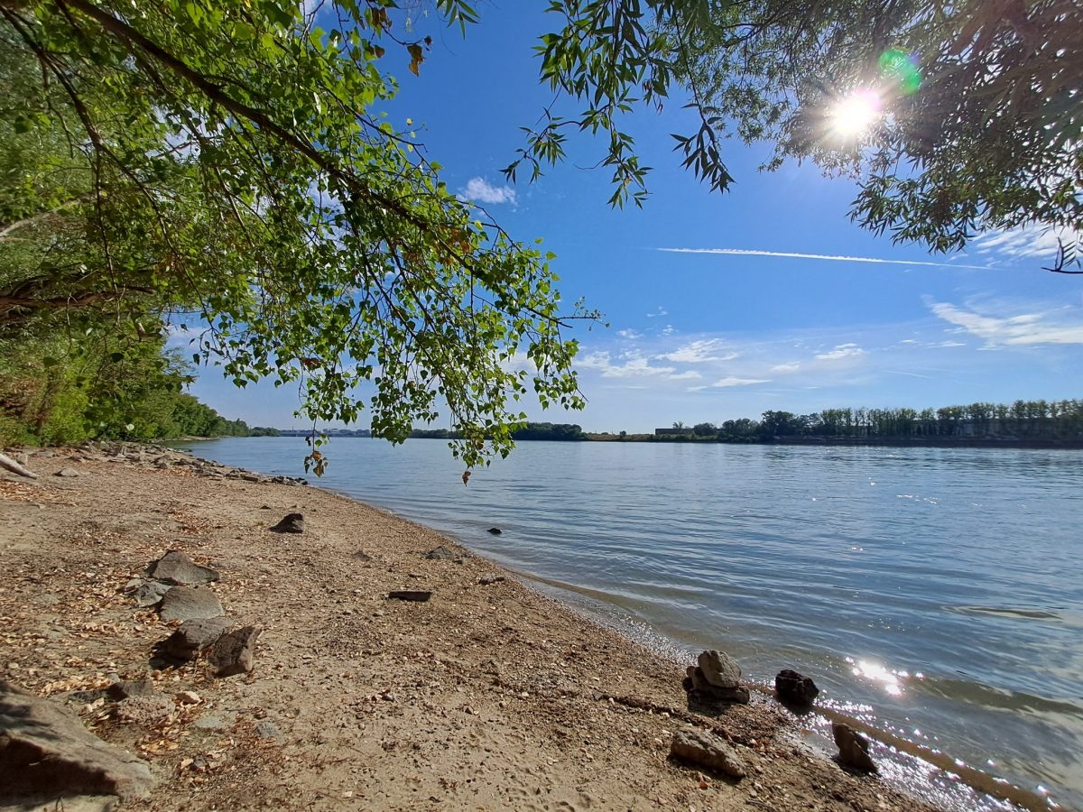 Duna-fürdő Árasztó-part szabadstrand