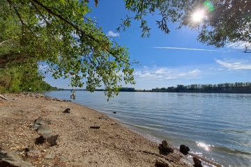 Duna-fürdő Árasztó-part szabadstrand