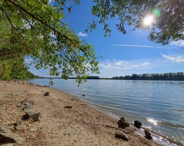 Duna-fürdő Árasztó-part szabadstrand