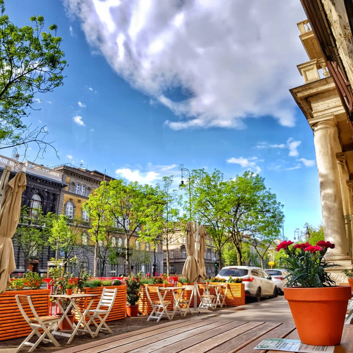 Ecocafe