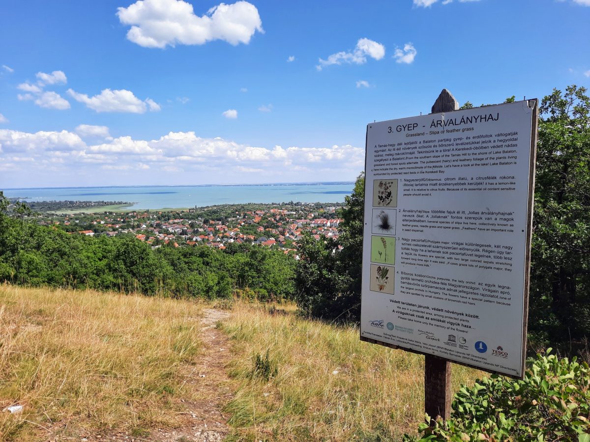 Balatonfüred Tamás-hegy kirándulás