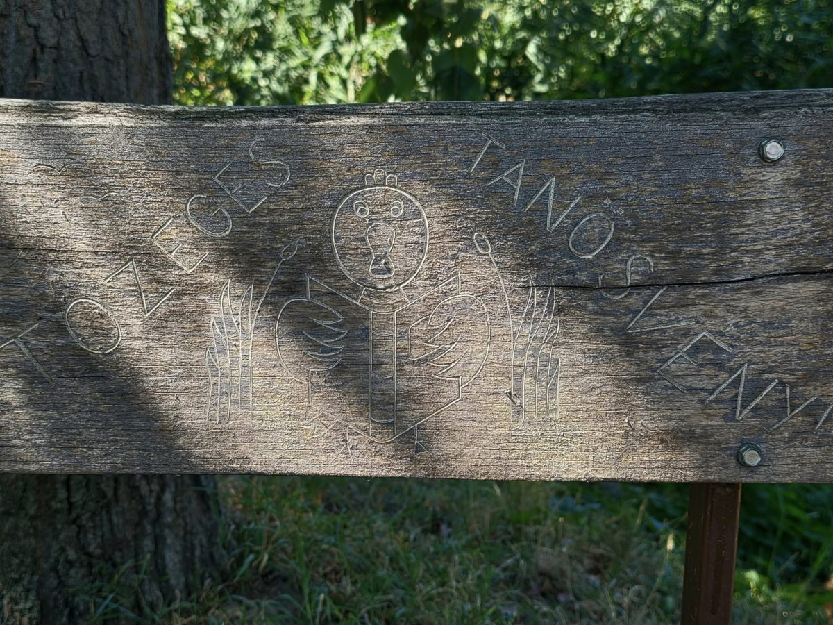 kirándulás, Tőzeges-tó, túra, tanösvény, Gyömrő