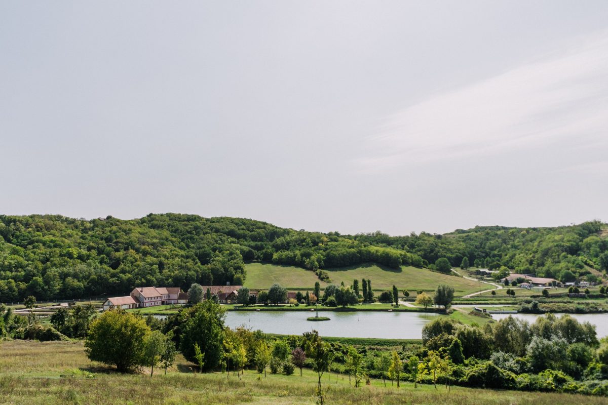 Palkonya tó