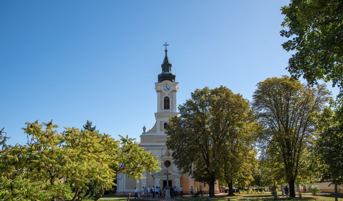 Hajós, pince, bor, gasztronómia, barokk, város, kirándulás, ősz, szeptember 