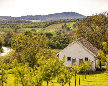Casa Christa