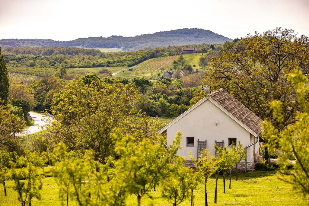 Casa Christa