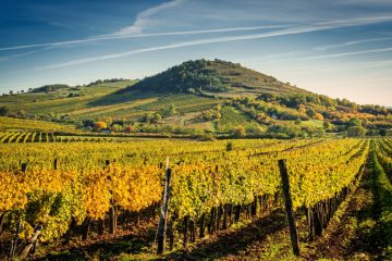 Tokaj