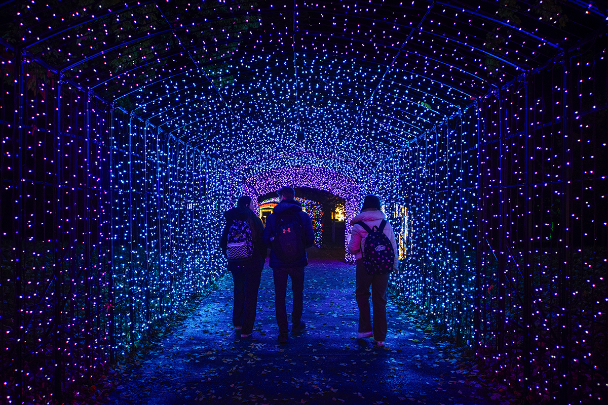 programok, fénypark, Budapest, ősz