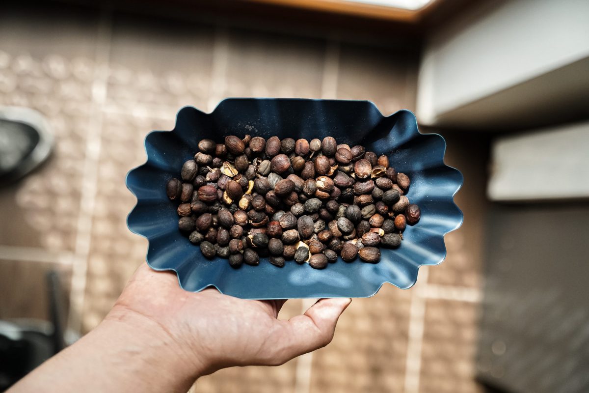 Budapest Coffee Week