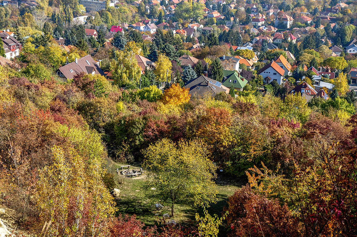 csillaghegyi kirándulás