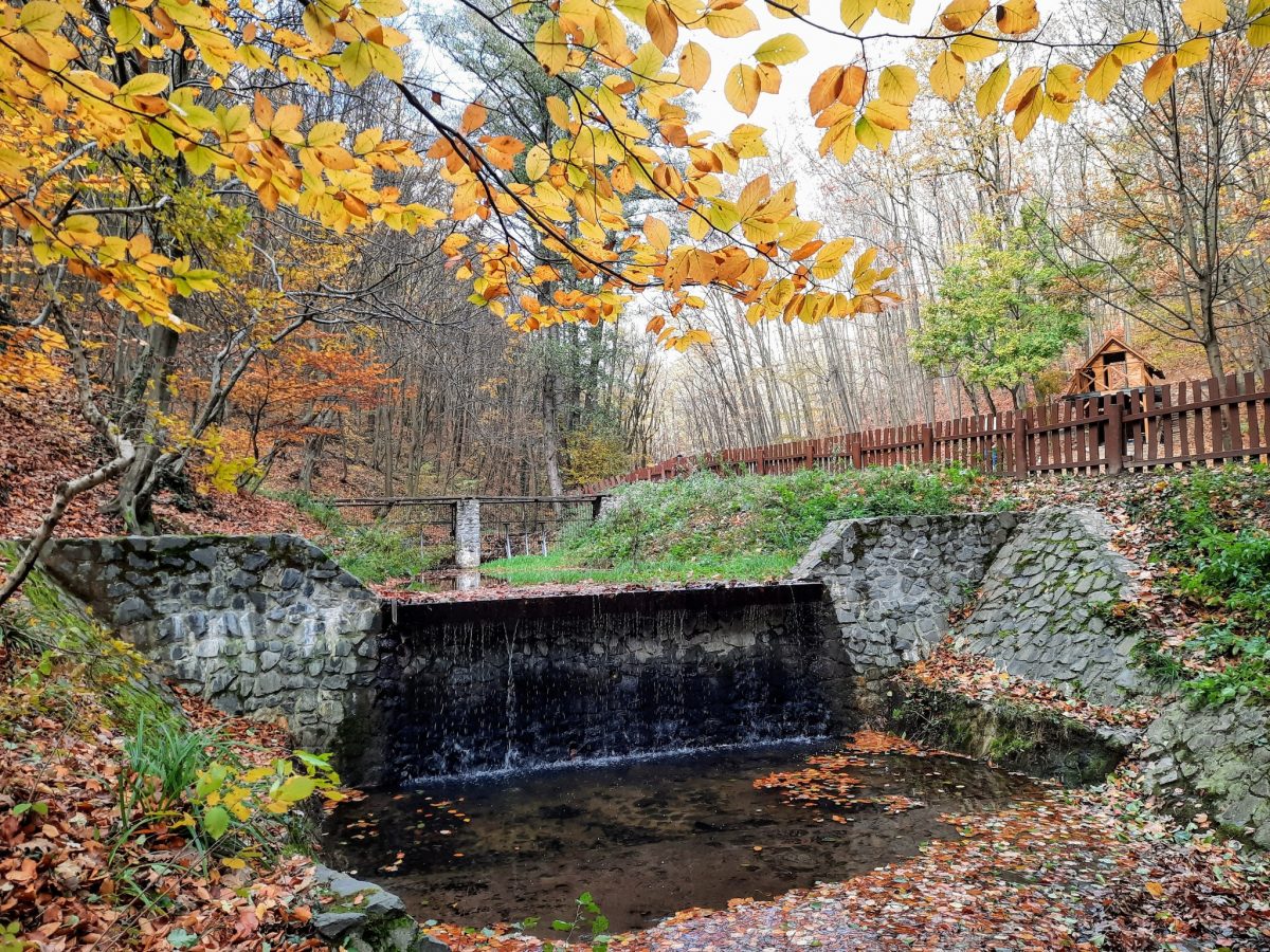 kirándulás, Pécs, Mecsek, Éger-völgy, természet, ősz, színek, tanösvény, forrás