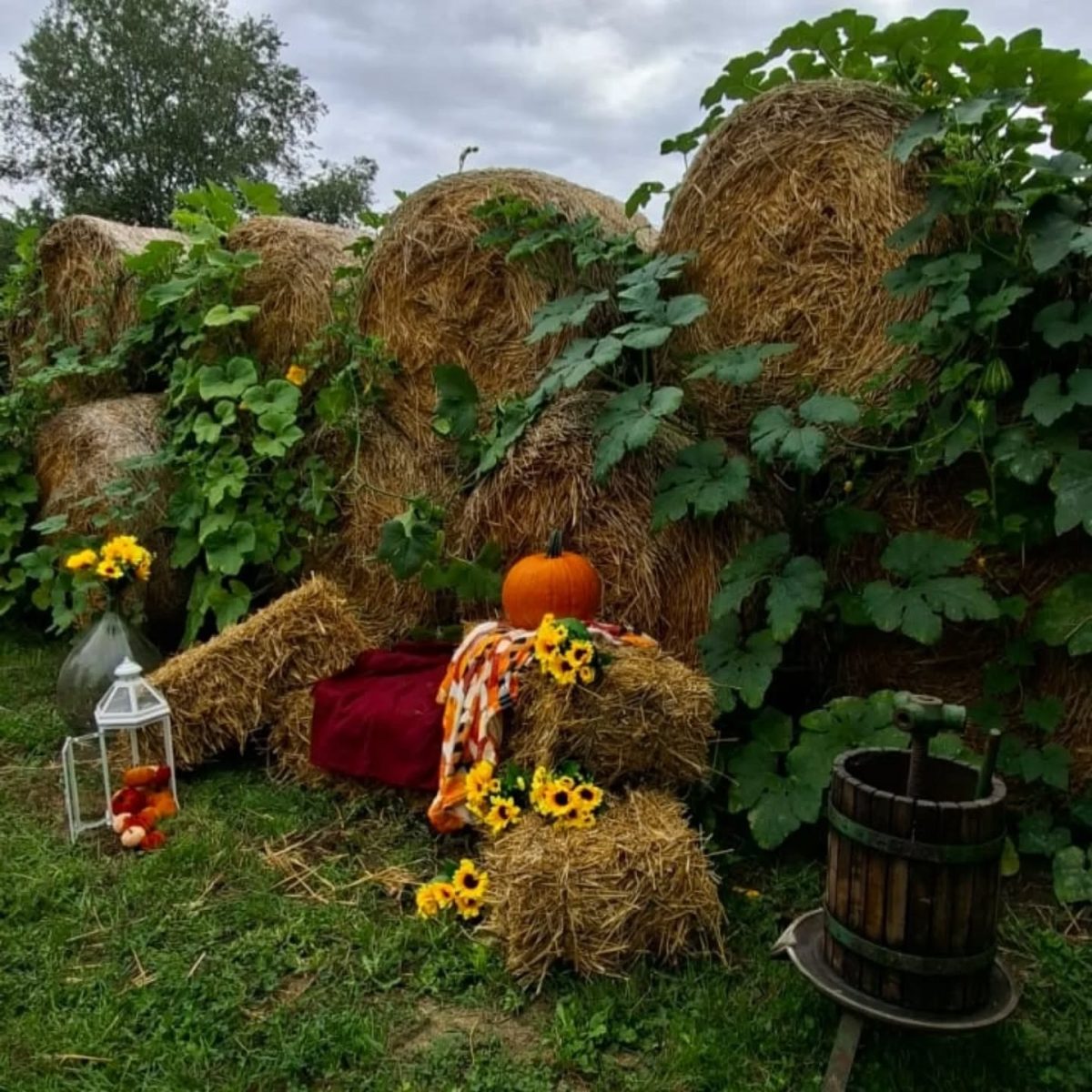 őszi szedd magad tökfarm