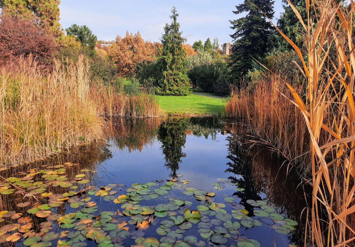 Budai Arborétum