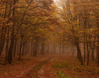 Magyarország, kirándulás, természet, mese, mesébe illő