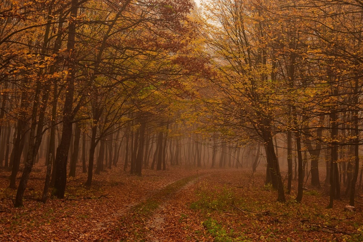 Magyarország, kirándulás, természet, mese, mesébe illő