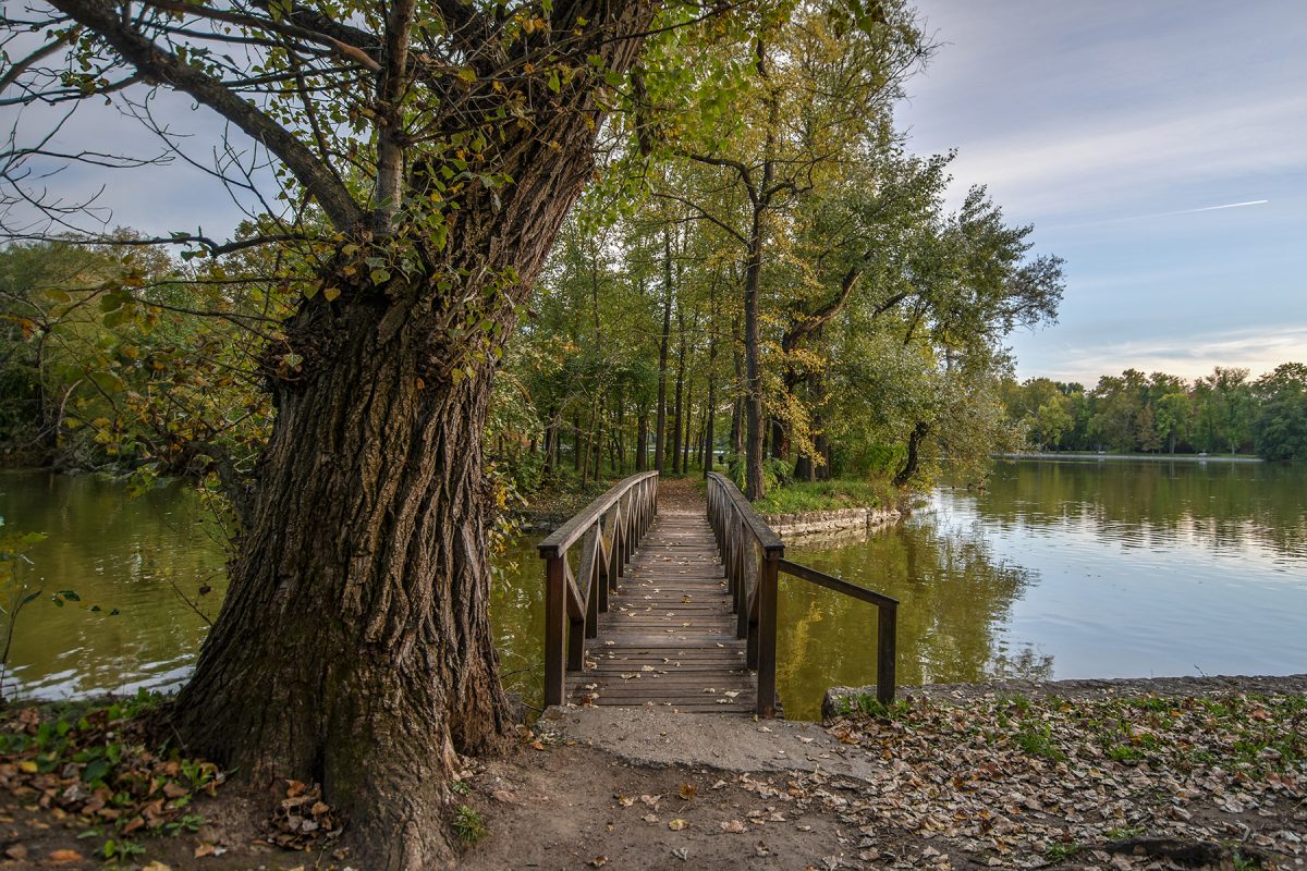Tata, angolpark, kert, kirándulás, természet