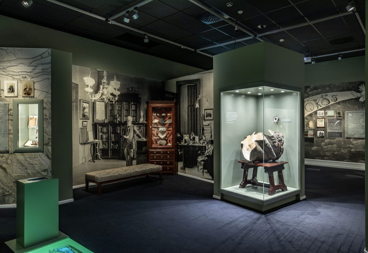 programok, november, ősz, Budapest