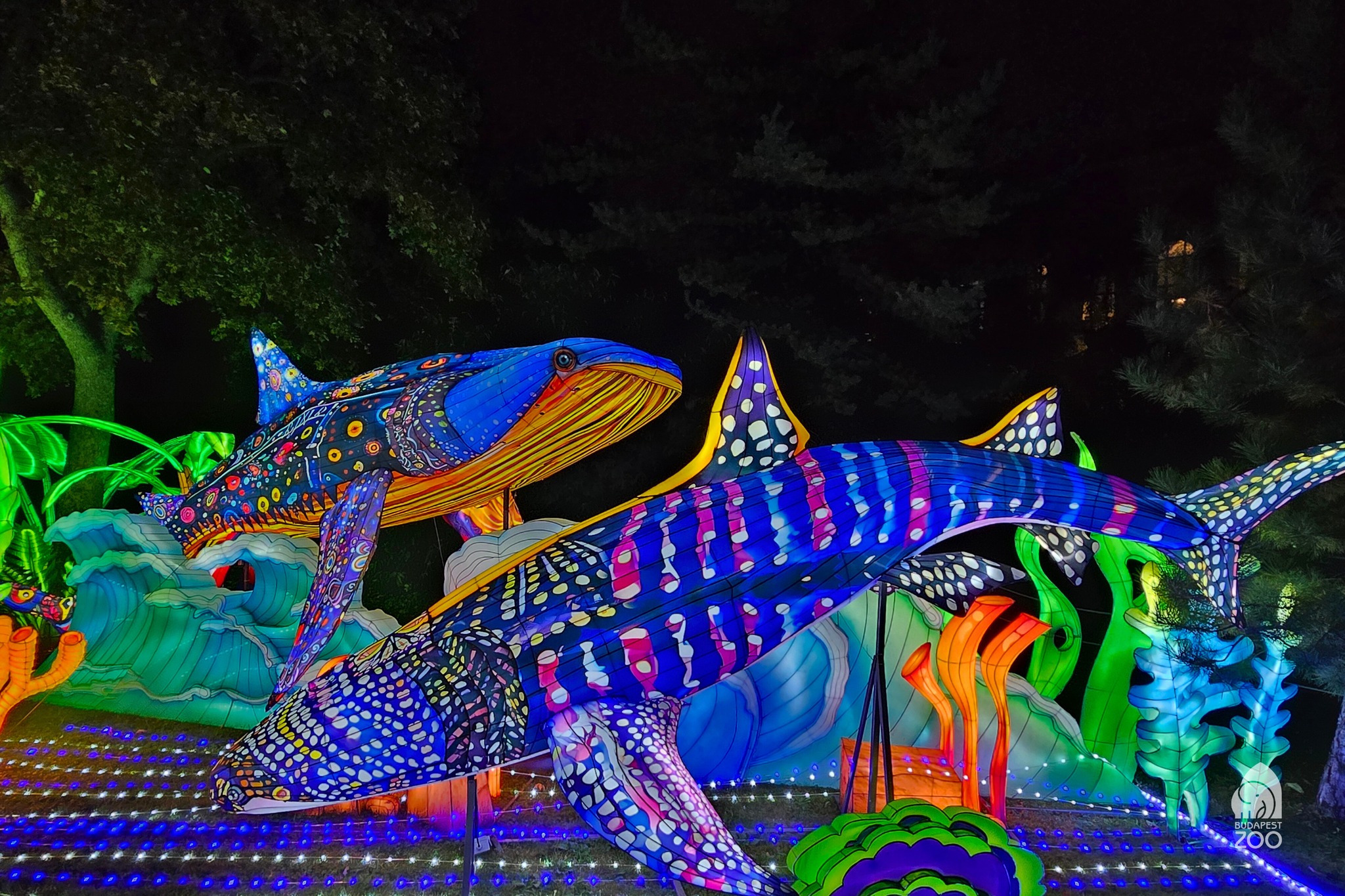 40+ pezsdítő őszi program Budapesten, ami élménnyel tölti meg a novembert