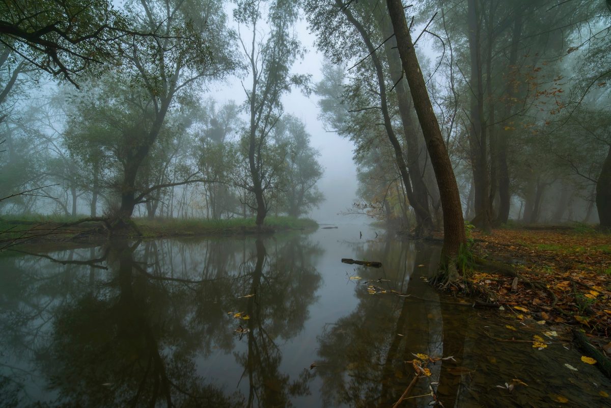 Disney, mesébe illő, kirándulás, természet, gyermek, mese, Magyarország