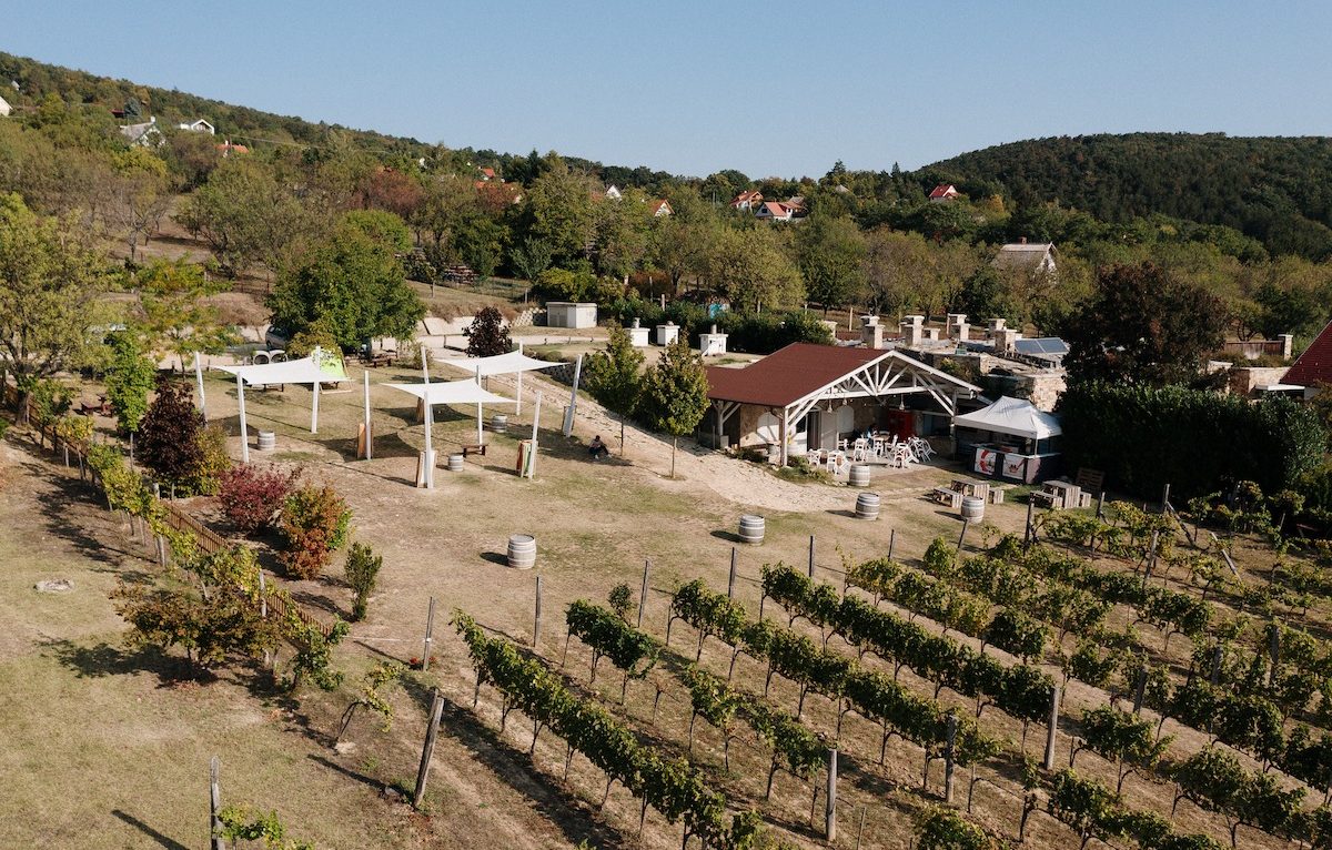 Balaton, programok, ősz, október