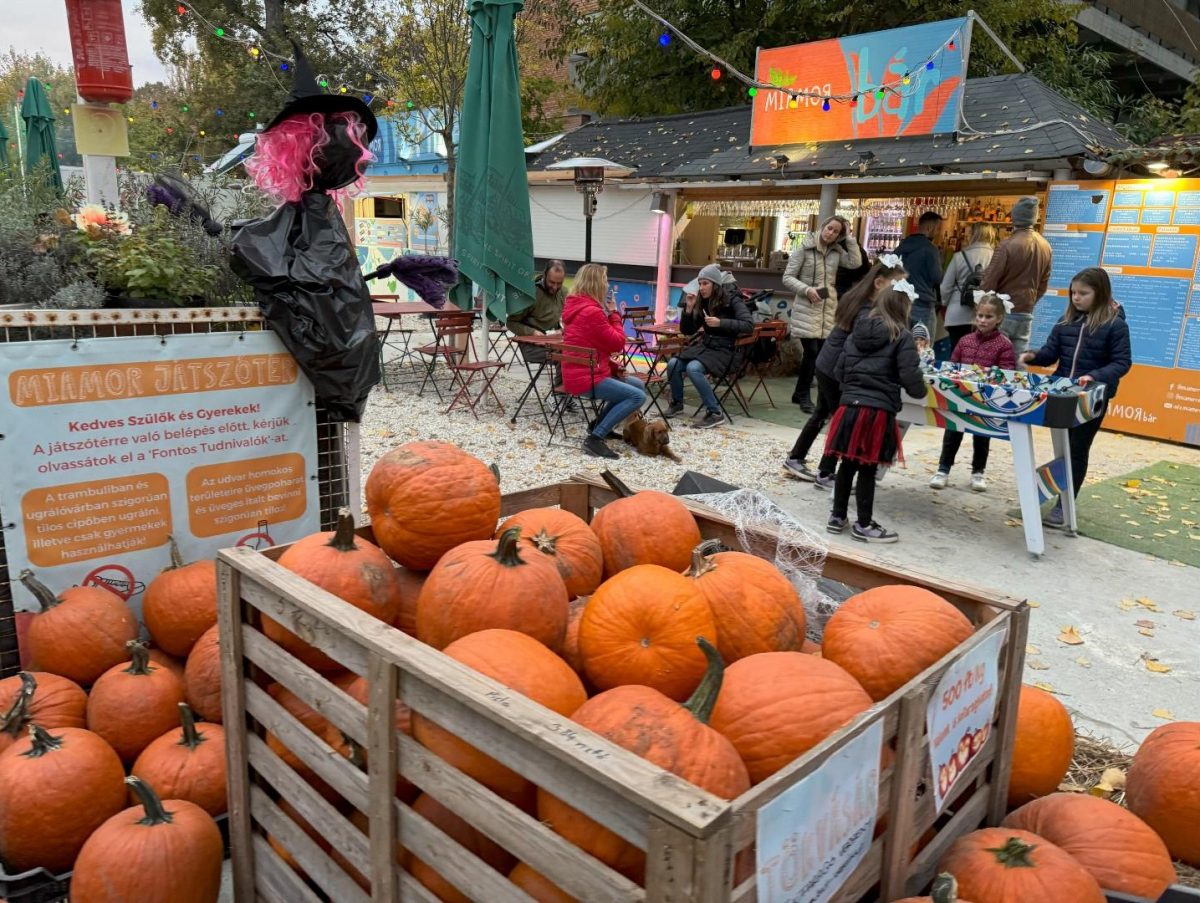 halloween 2025 programok