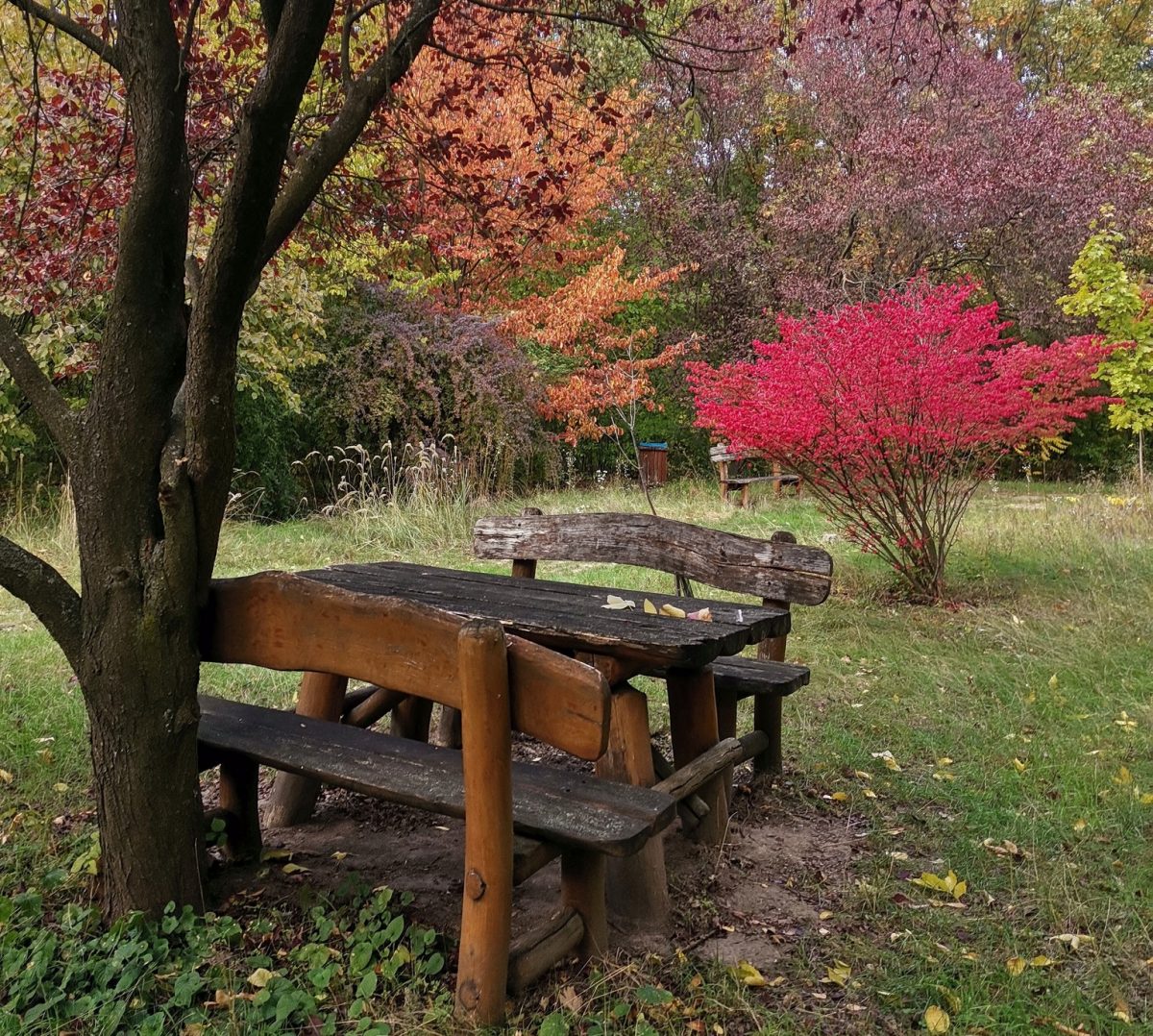 Kecskeméti Arborétum