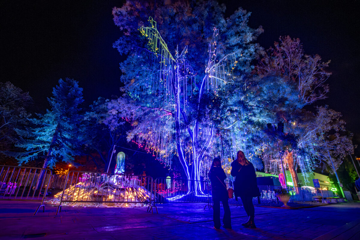 Lumina Park 2025 Margitsziget Palatinus strand Varázsvilág