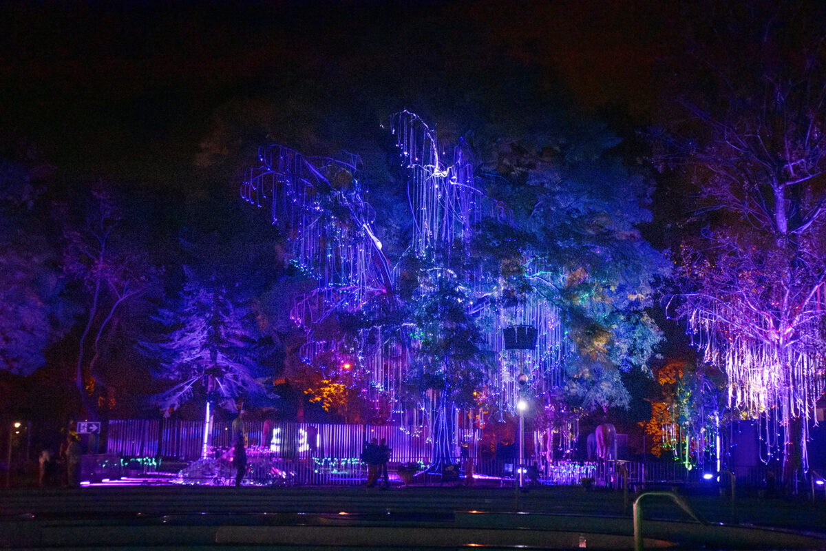 Lumina Park 2025 Margitsziget Palatinus strand Varázsvilág