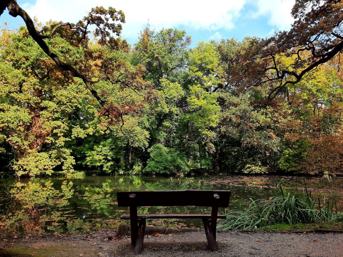 Sárvári Arborétum