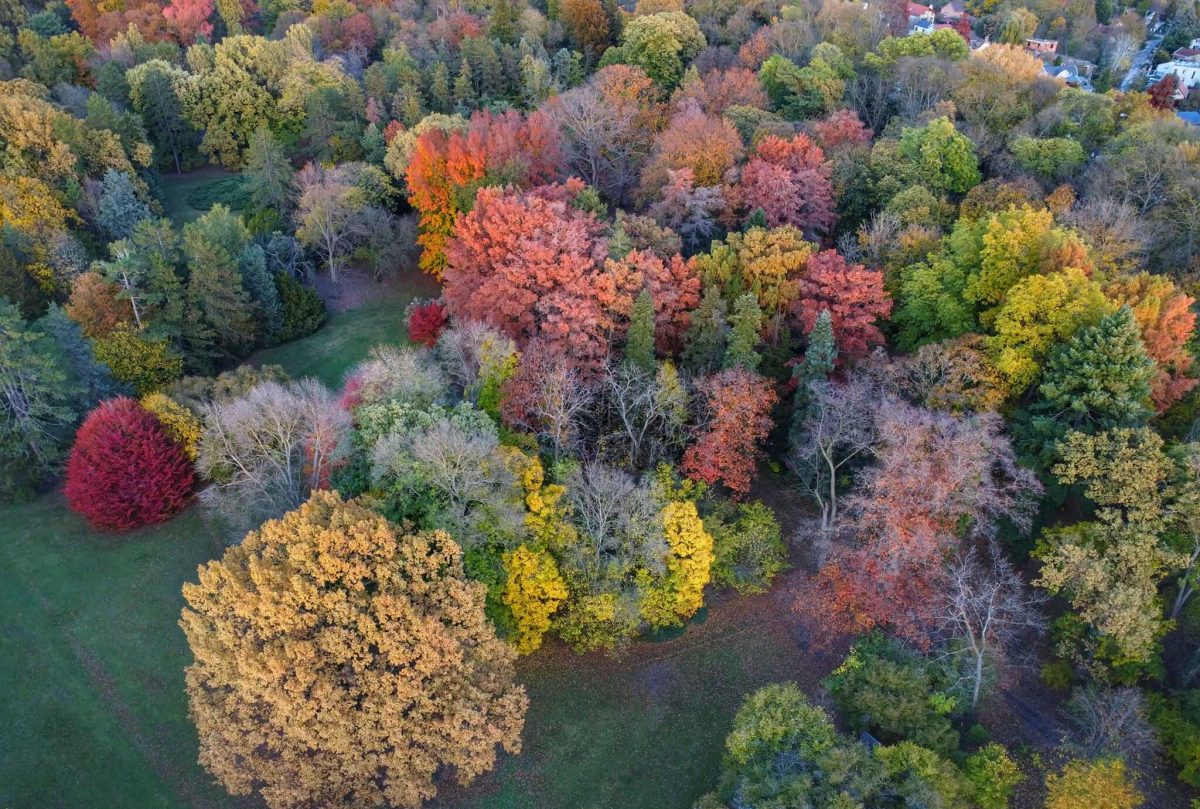 Szarvasi Arborétum
