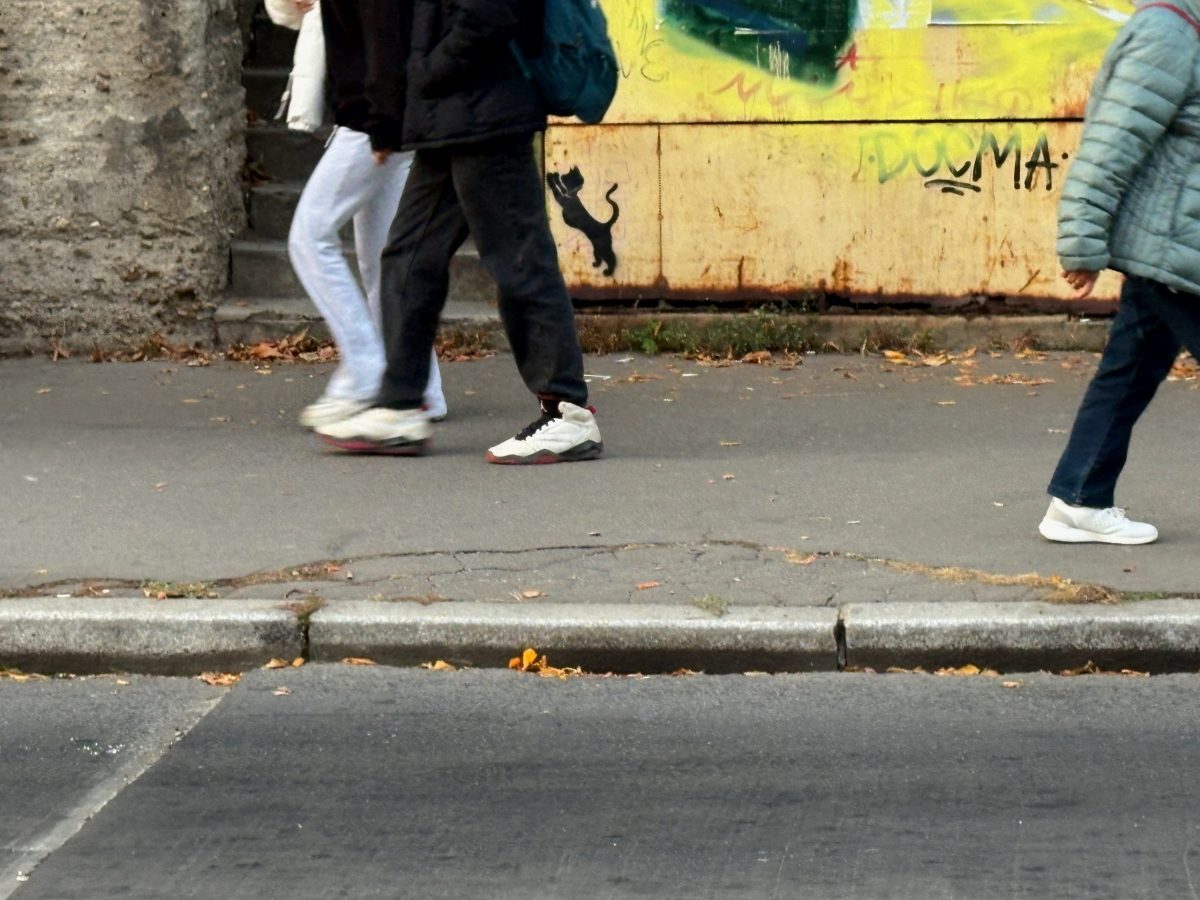 cica street art Budapest