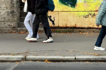 cica street art Budapest