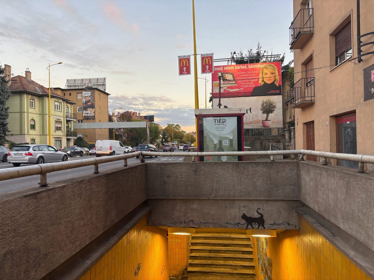 cica street art Budapest