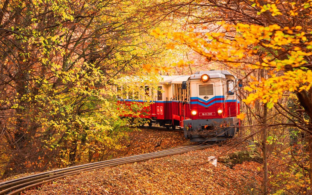 szelfiszpotok, fénykép, ősz, őszi táj, Budapest