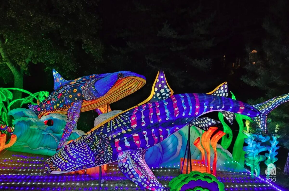 hétvégi programok Budapesten 2025 november