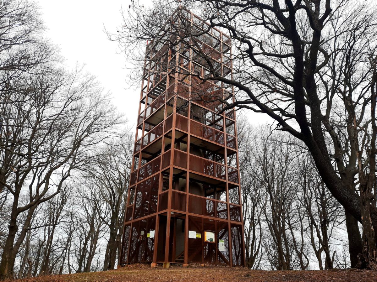 Zengő-kilátó, Mecsek, az Év Kilátója 2025