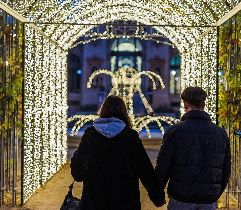 adventi fénypark, fénykiállítás, advent a Ligetben