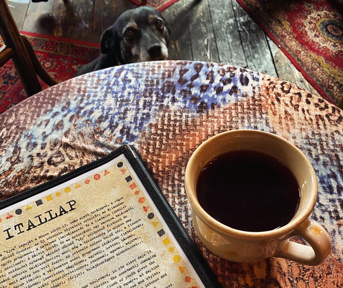 Csendes Létterem forralt bor