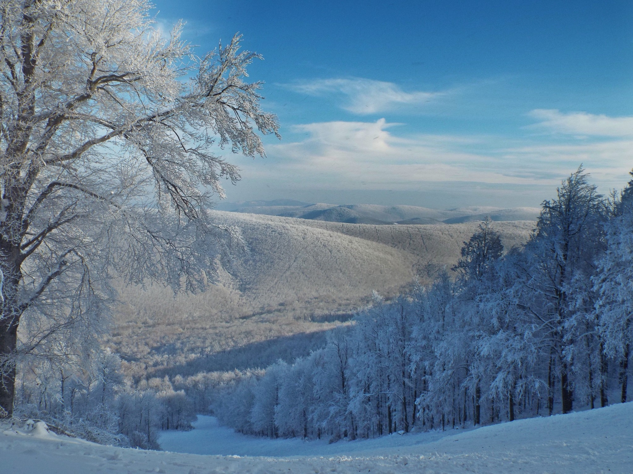5 hósapkás csodahely Budapest környékén egy felejthetetlen téli kiránduláshoz