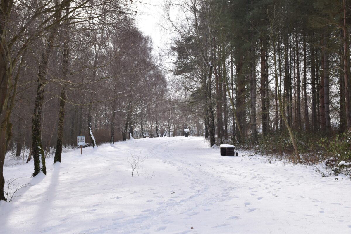 Kis-Balaton, Kányavári-sziget, kirándulás, tél