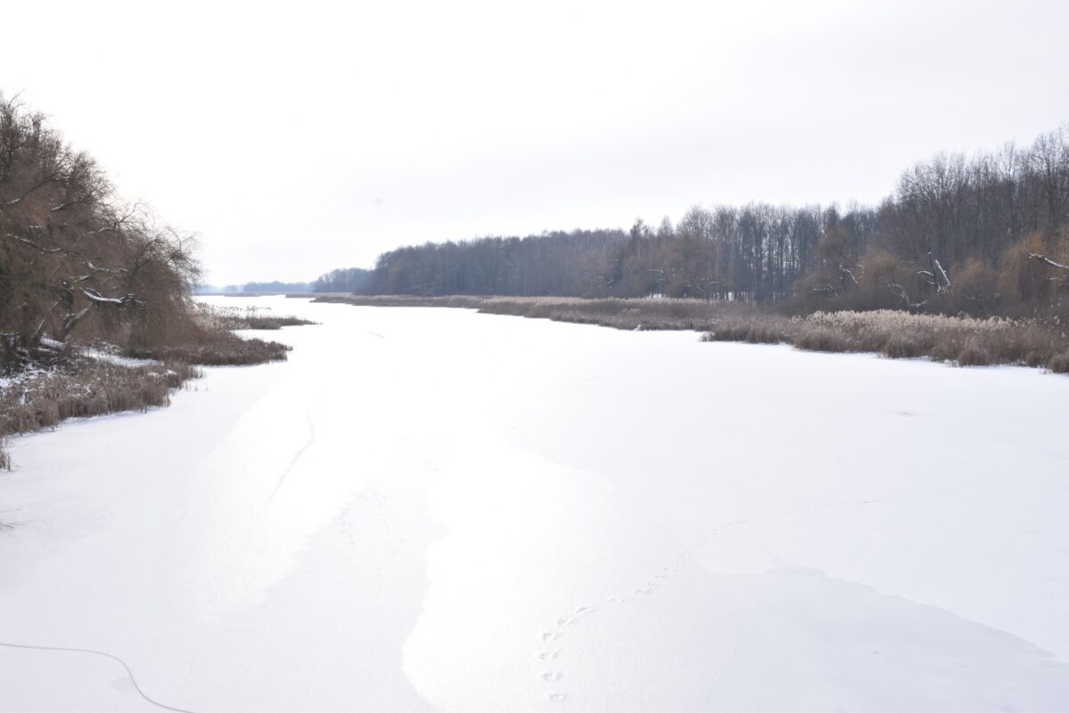 Kis-Balaton, Kányavári-sziget, kirándulás, tél