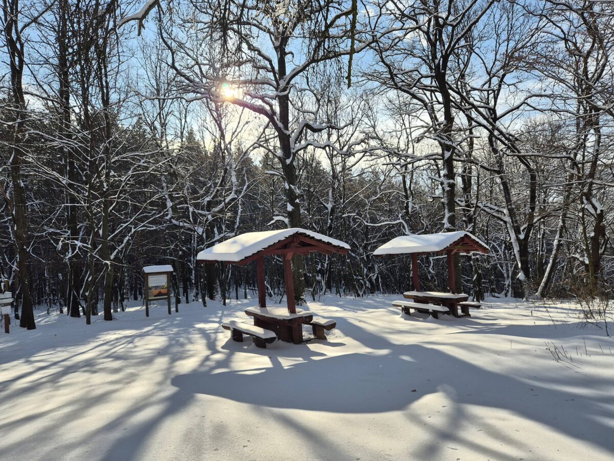 Salgóbánya, Salgó vára, téli kirándulás, Nógrád, tél, január