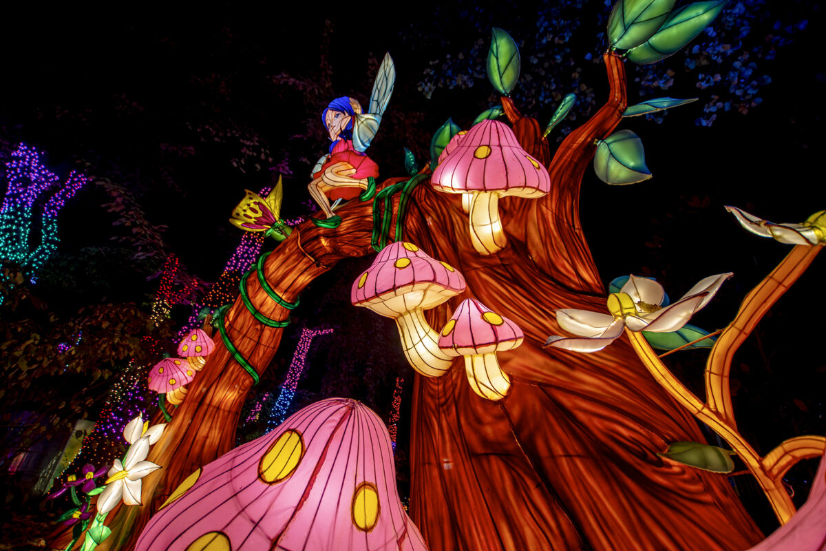 Garden of Lights 2026