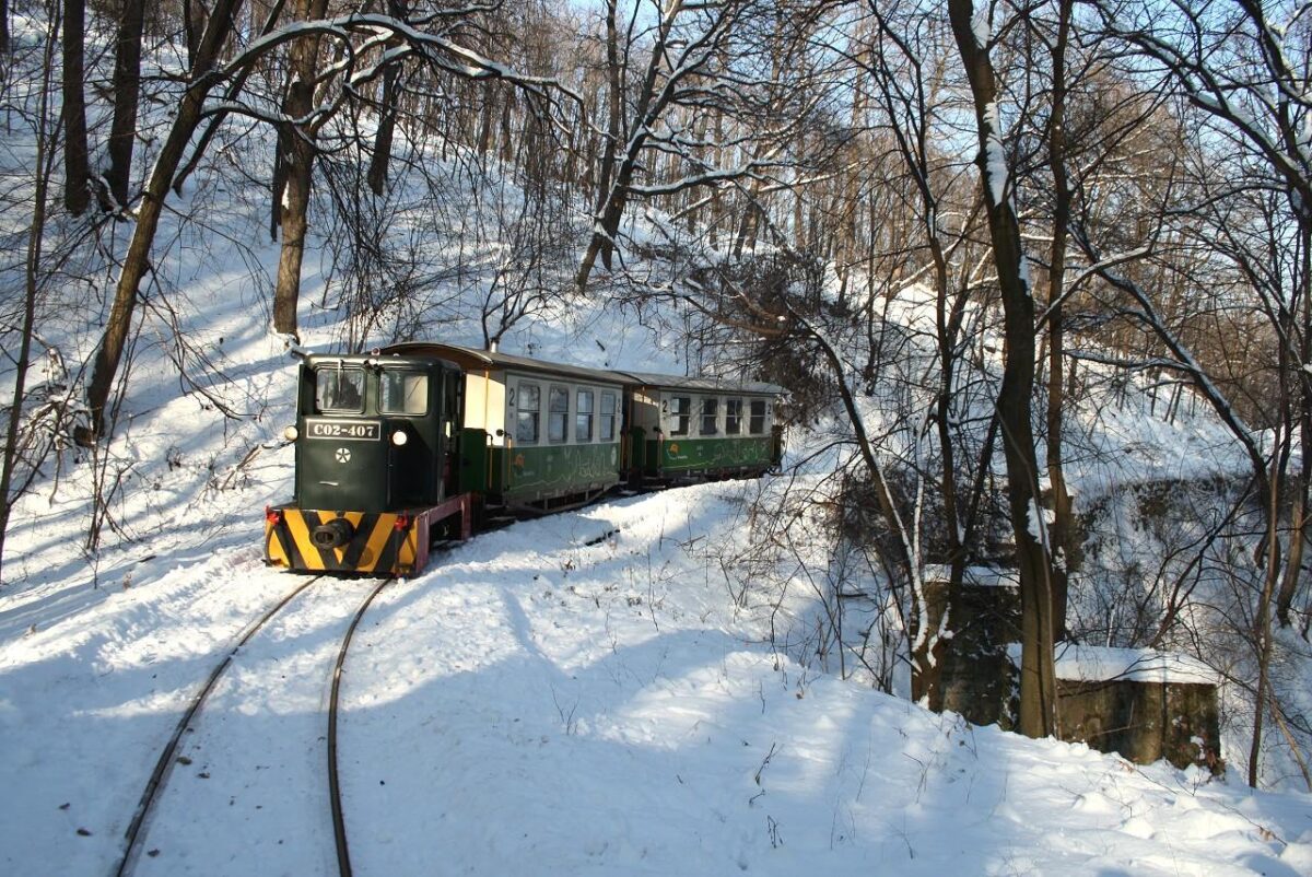 erdei vasút, téli erdő, kisvasút, január, Zúzmara Expressz