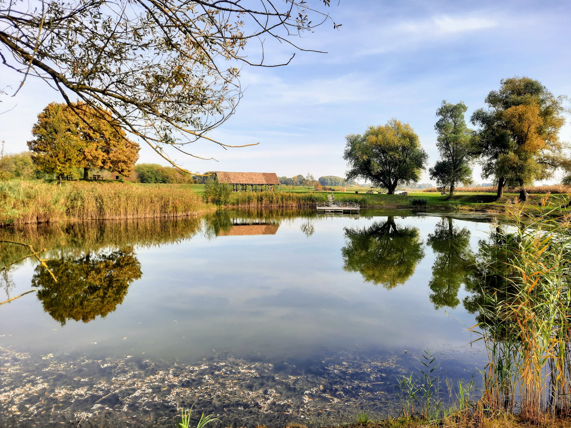 Télbúcsúztató kirándulás az elfeledett Ormánság rejtett gyöngyszemei között