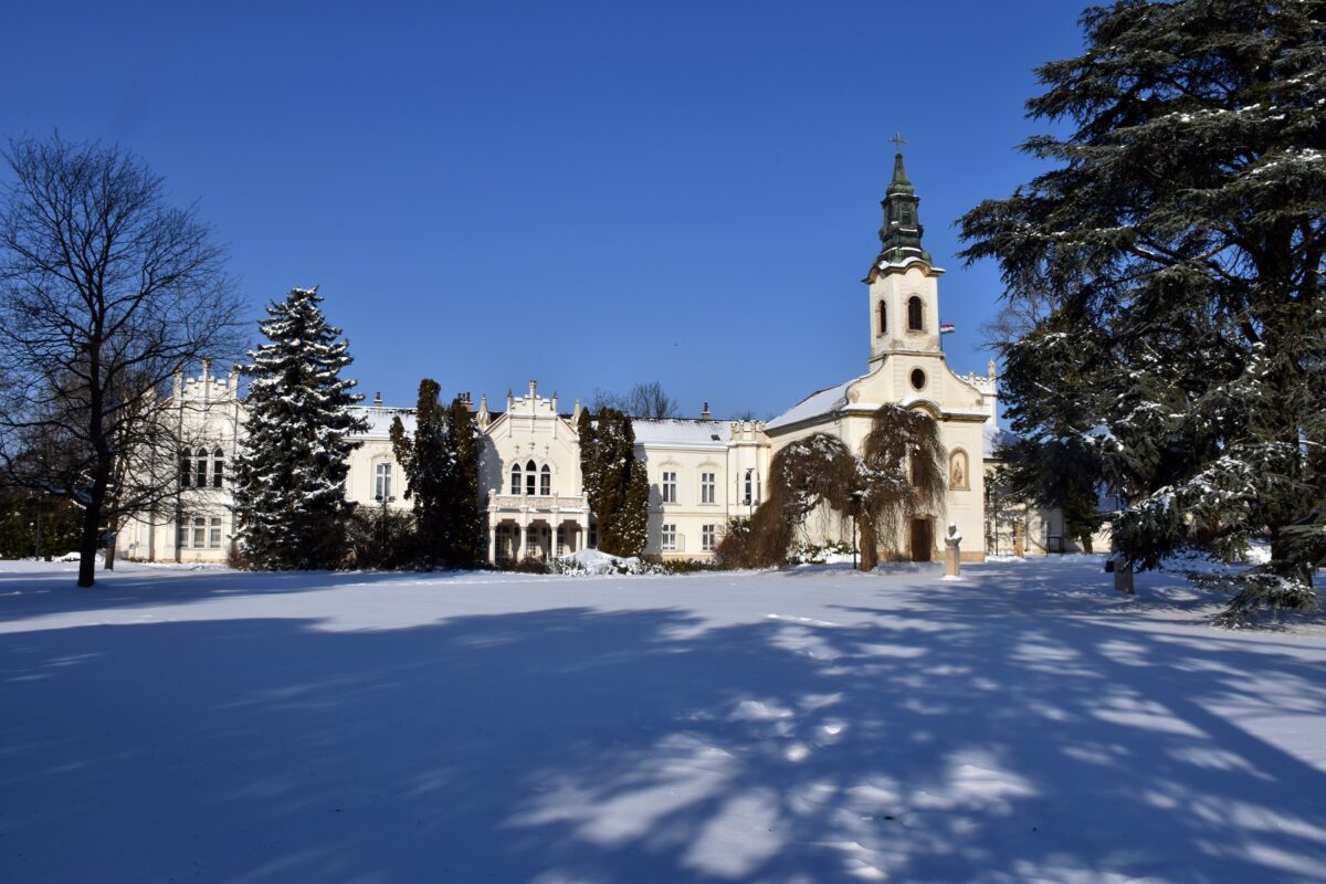 téli séta, angolpark, kastélypark, Martonvásár, Brunszvik-kastély, tél, január