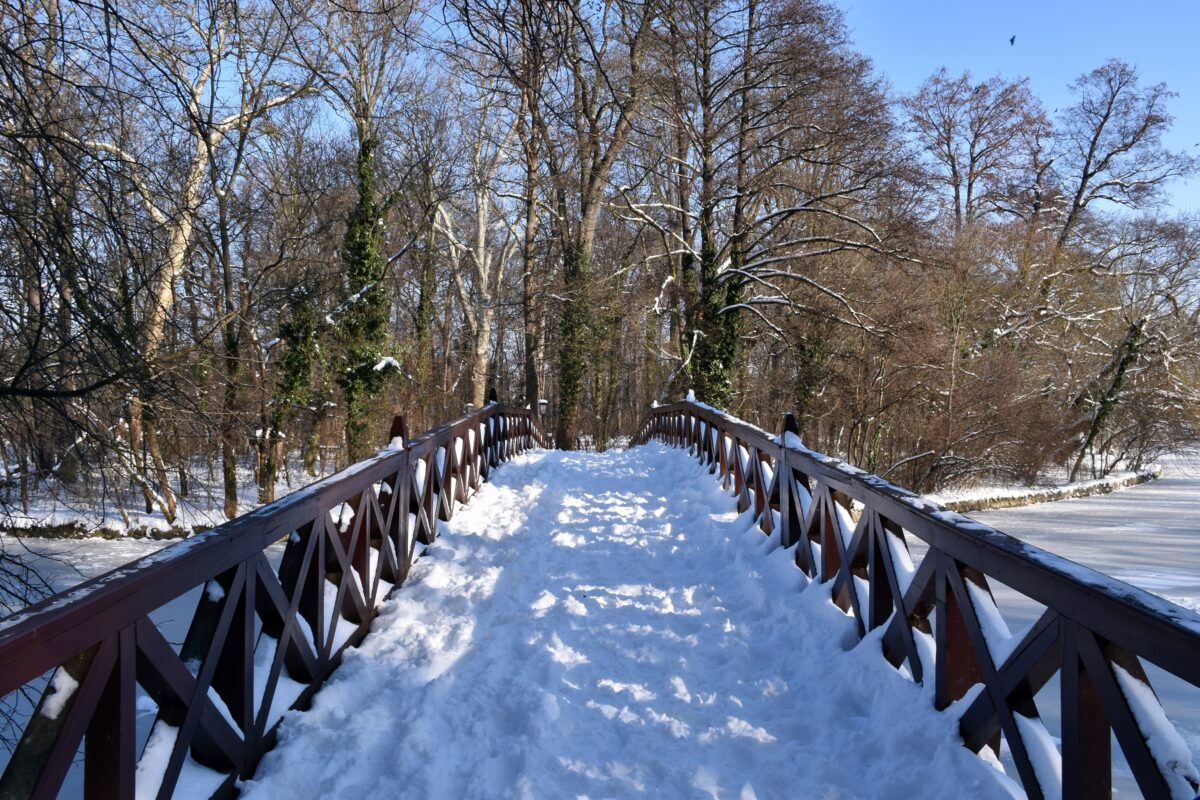 téli séta, angolpark, kastélypark, Martonvásár, Brunszvik-kastély, tél, január