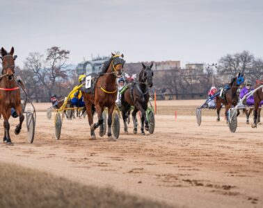 farsangi programok, farsang, mulatság, Budapest, február, január, tél