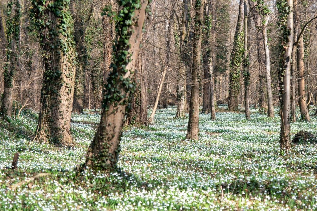 bakancslistás programok, kikapcsolódási lehetőségek, országos programok, február